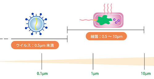 細菌とウィルスの大きさの違い