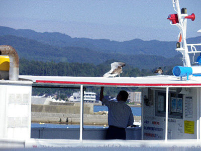 f:id:taeco:20100122193032j:image f:id:taeco:20100122193032j:image
