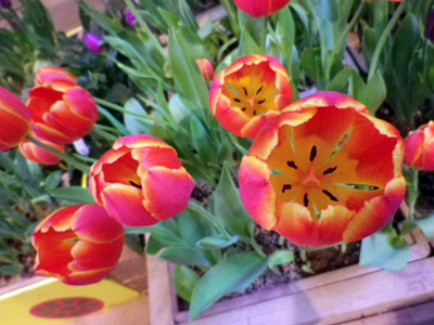 f:id:taeco:20100123193229j:image f:id:taeco:20100123193229j:image