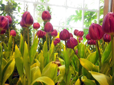 f:id:taeco:20100123193317j:image f:id:taeco:20100123193317j:image