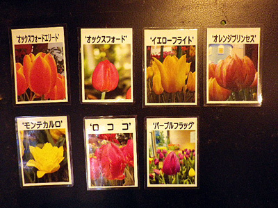 f:id:taeco:20100123193341j:image f:id:taeco:20100123193341j:image