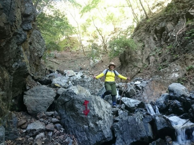 f:id:taeco_eco:20181030205835j:image f:id:taeco_eco:20181030205835j:image