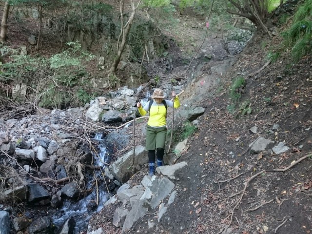 f:id:taeco_eco:20181030205844j:image f:id:taeco_eco:20181030205844j:image