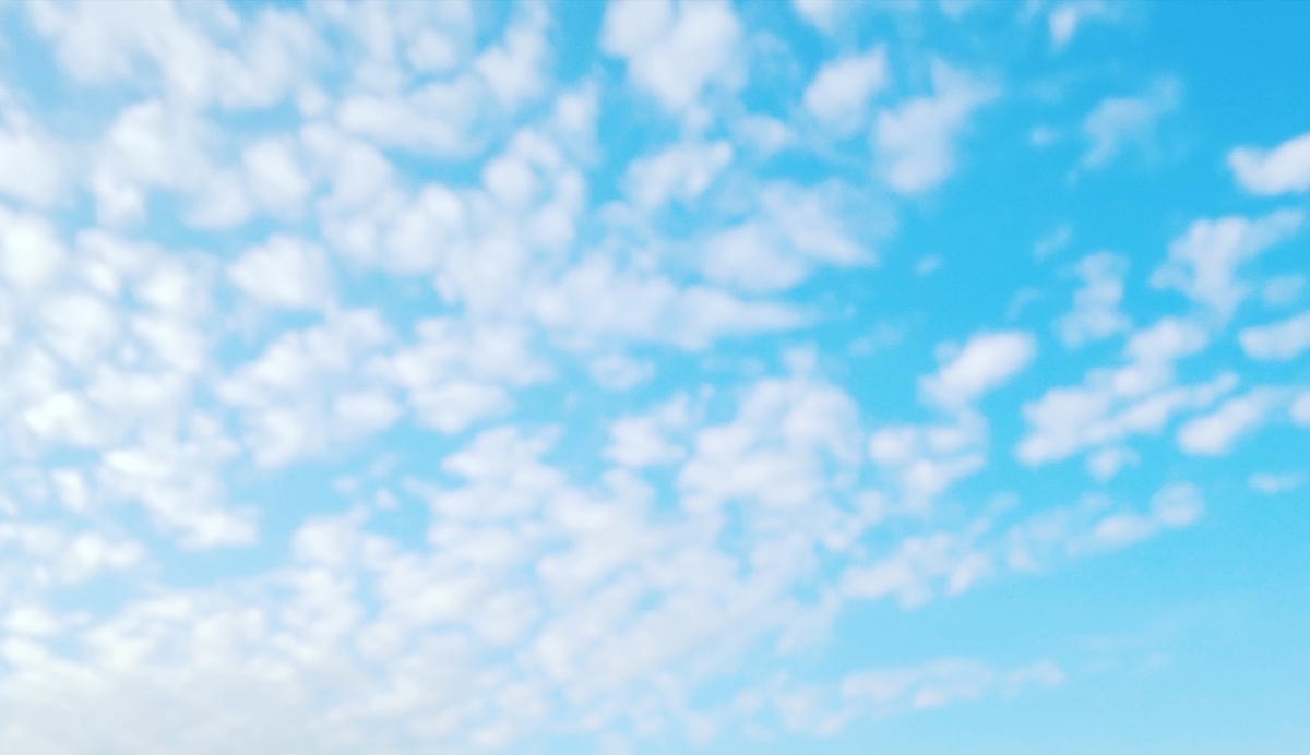 f:id:taeko7771:20201106215745j:plain f:id:taeko7771:20201106215745j:plain