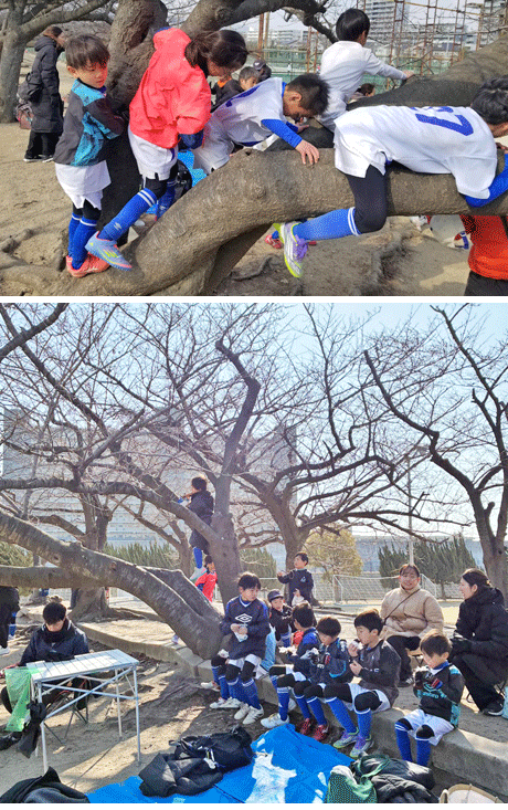 浜甲子園グランド2