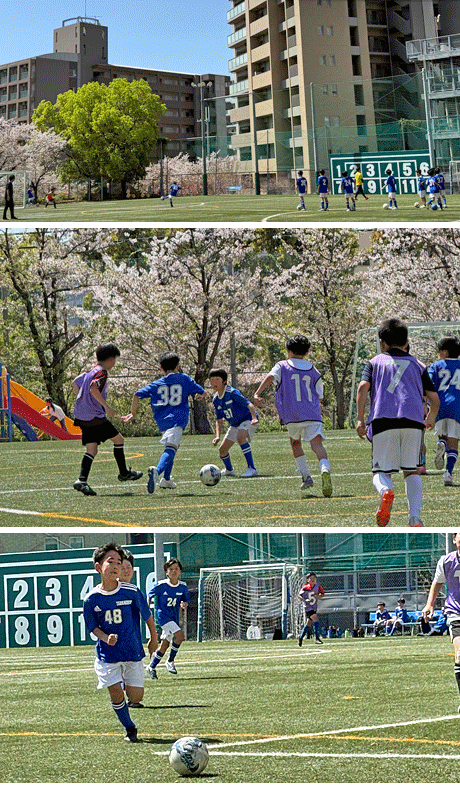 交流戦5年1