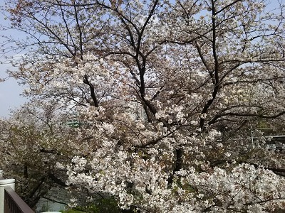 f:id:tafu1008:20210402235308j:plain