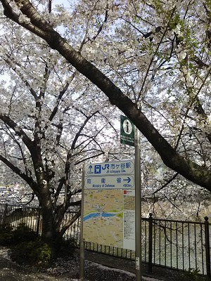 f:id:tafu1008:20210402235324j:plain