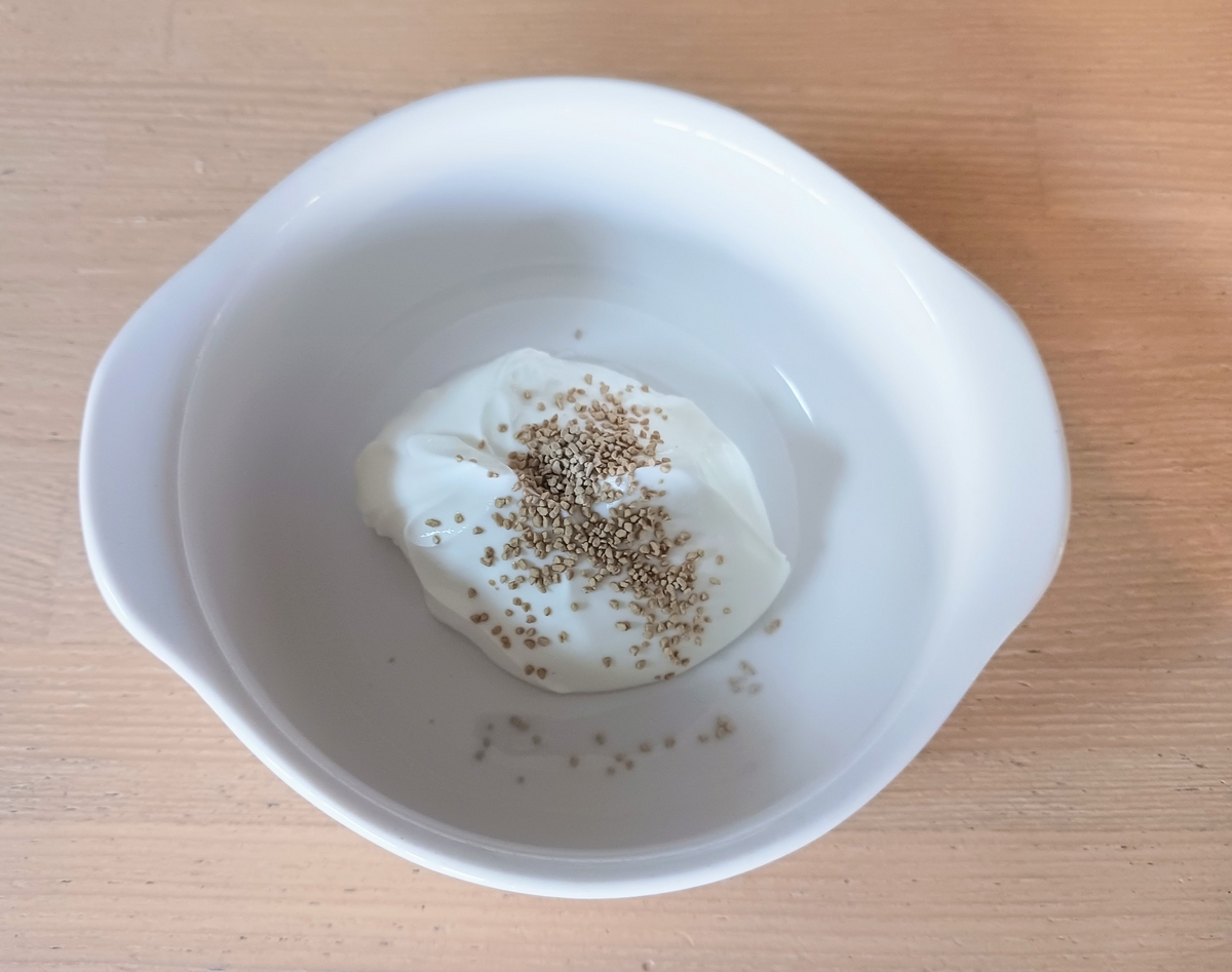 犬に漢方薬をヨーグルトで投薬する