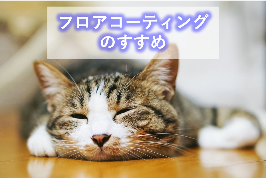 f:id:tago_ch:20210510134932p:plain