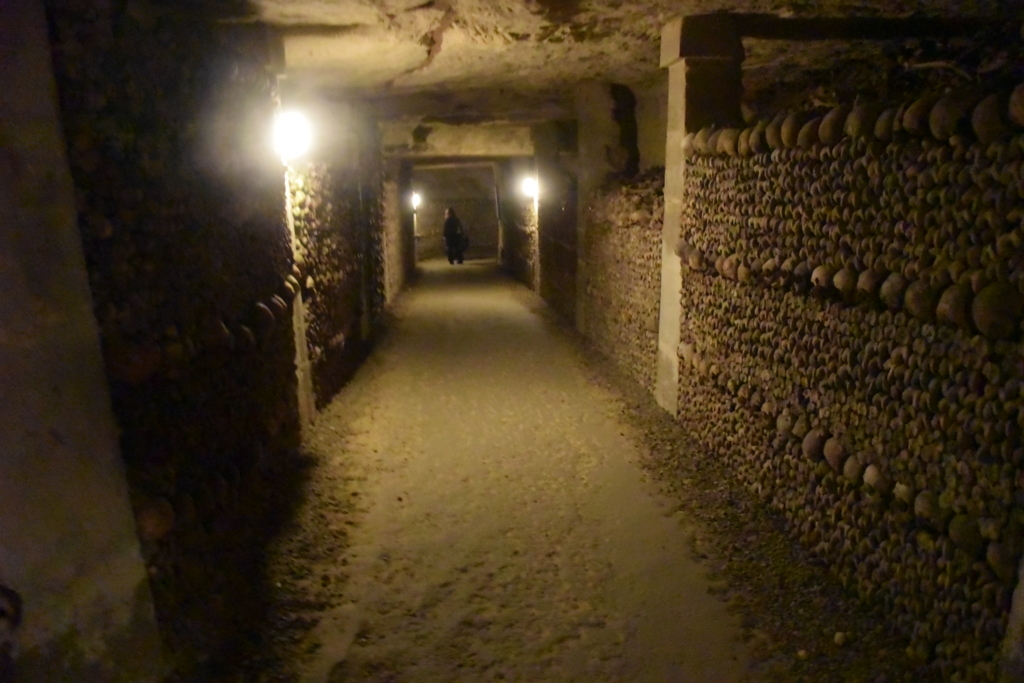 f:id:tagoduke:20170731183442j:plain