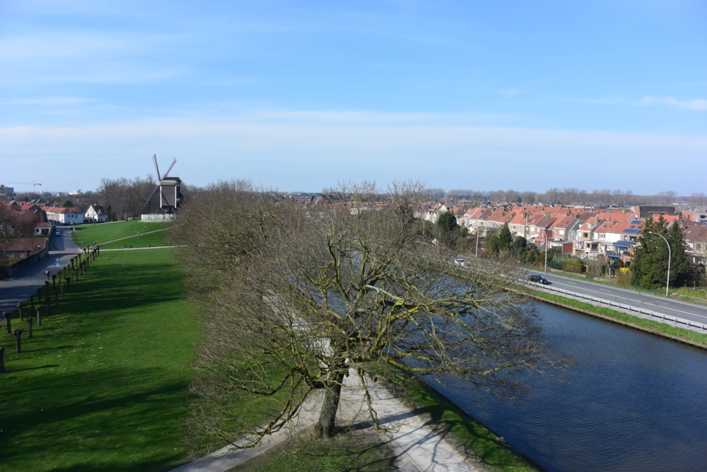 f:id:tagoduke:20170805195417j:plain