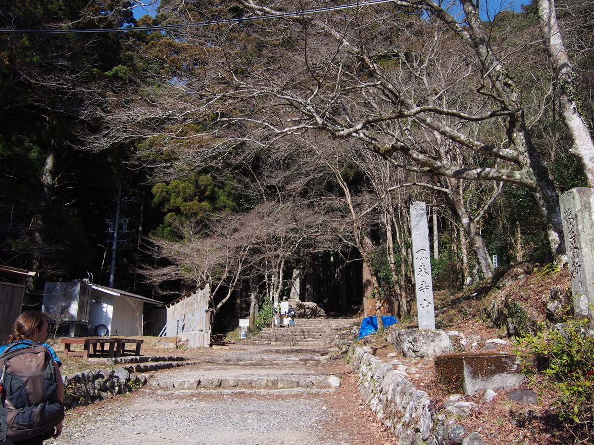 f:id:tagokem:20200225195339j:plain