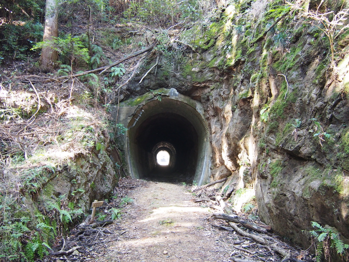 f:id:tagokem:20200225195515j:plain f:id:tagokem:20200225195515j:plain