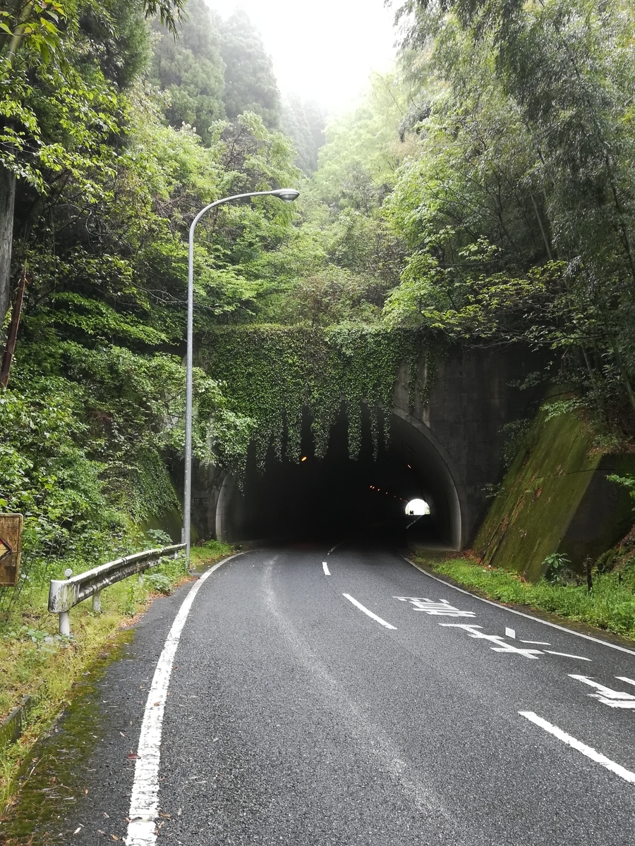 f:id:tagokem:20210522125354j:plain