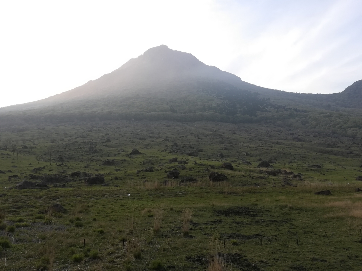 f:id:tagokem:20210522131327j:plain