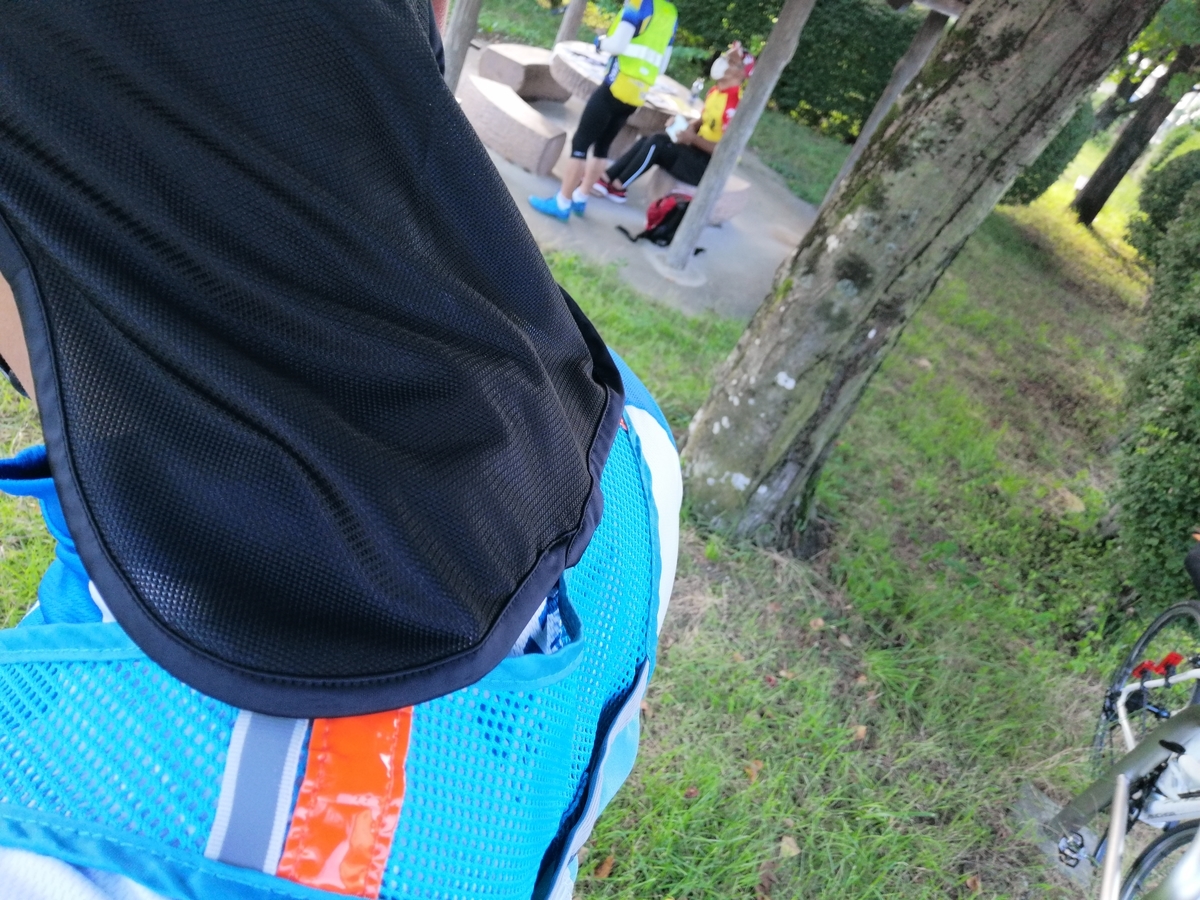 f:id:tagokem:20210725094141j:plain