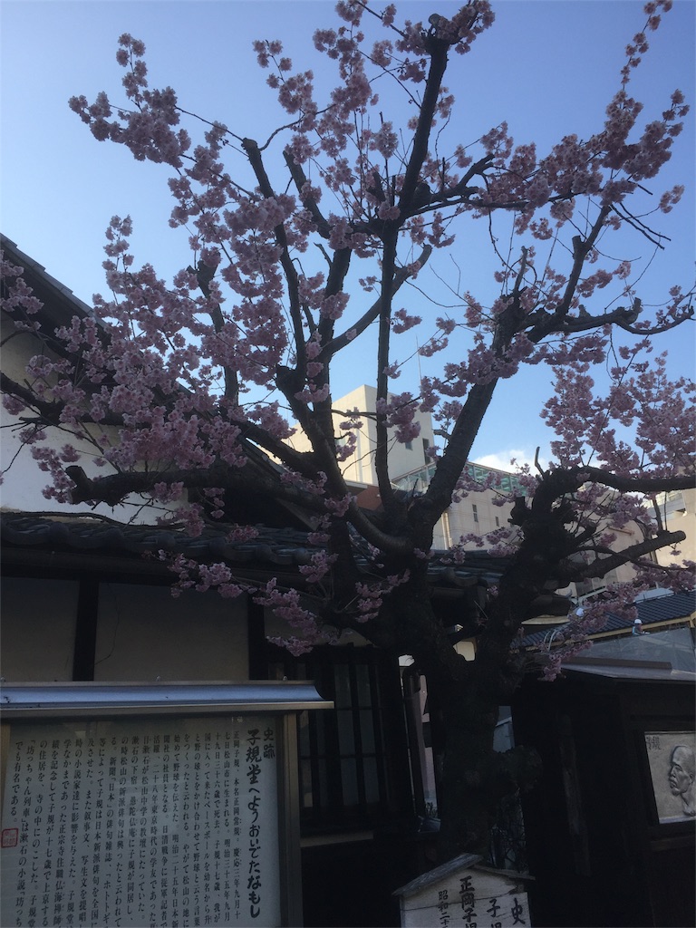 f:id:tagosaku_D_54:20170311223437j:image f:id:tagosaku_D_54:20170311223437j:image