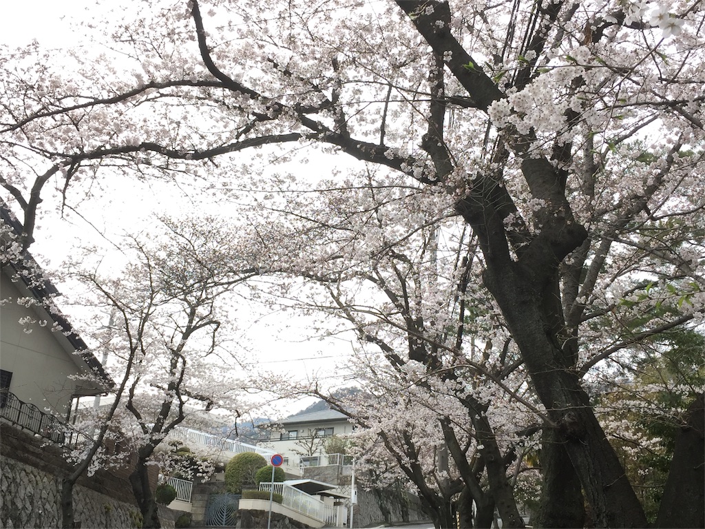 f:id:tagosaku_D_54:20170406011401j:image f:id:tagosaku_D_54:20170406011401j:image