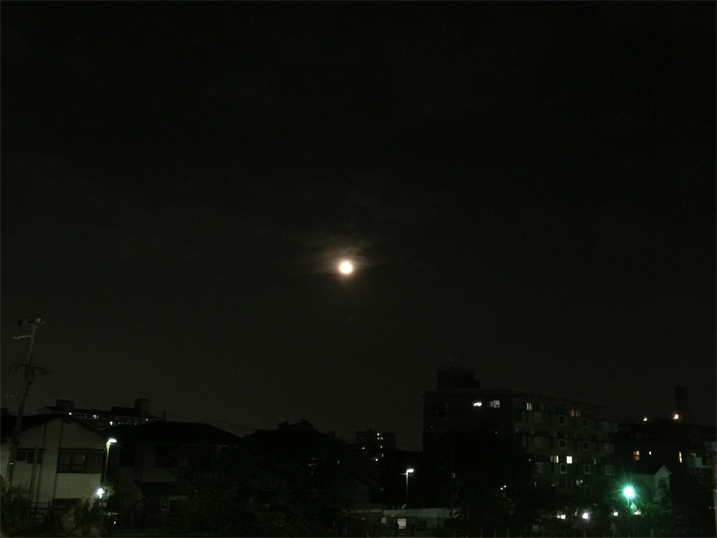 f:id:tagosaku_D_54:20170513235821j:image f:id:tagosaku_D_54:20170513235821j:image
