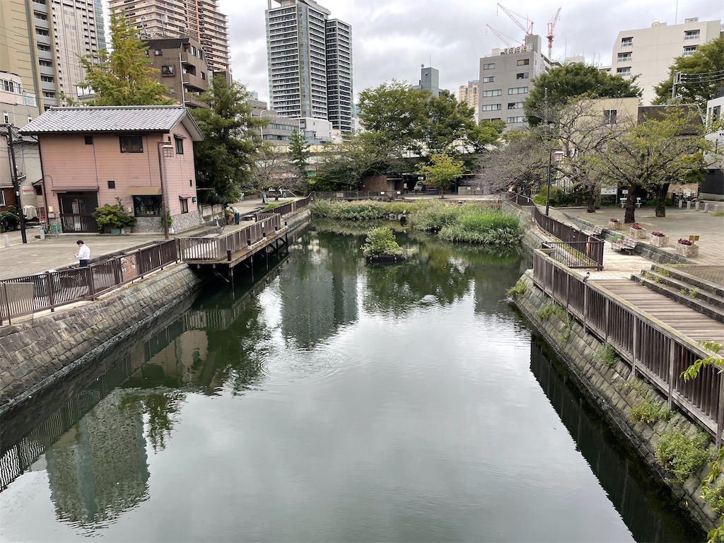 f:id:tagosakueight:20241015202133j:image f:id:tagosakueight:20241015202133j:image