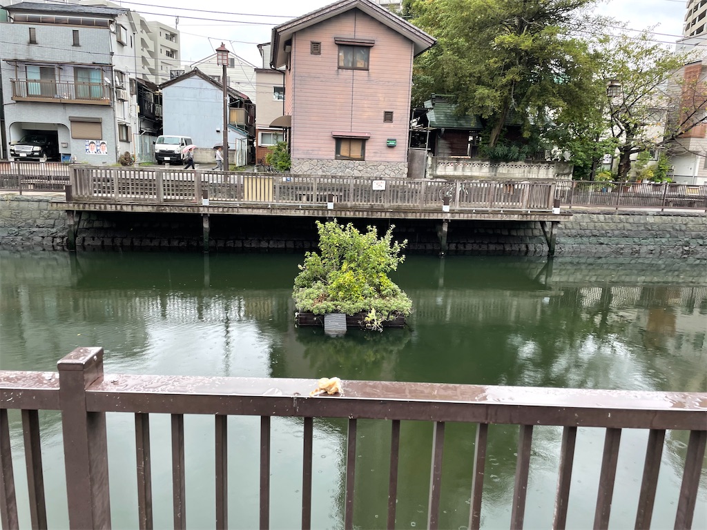 f:id:tagosakueight:20241105191245j:image f:id:tagosakueight:20241105191245j:image