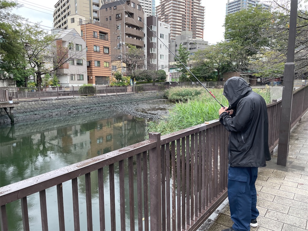 f:id:tagosakueight:20241105191456j:image f:id:tagosakueight:20241105191456j:image