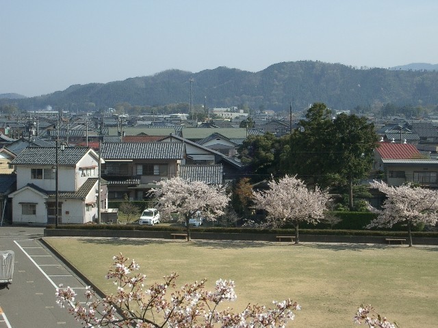 イメージ 5