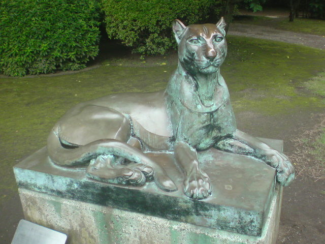 大きくなるよ
