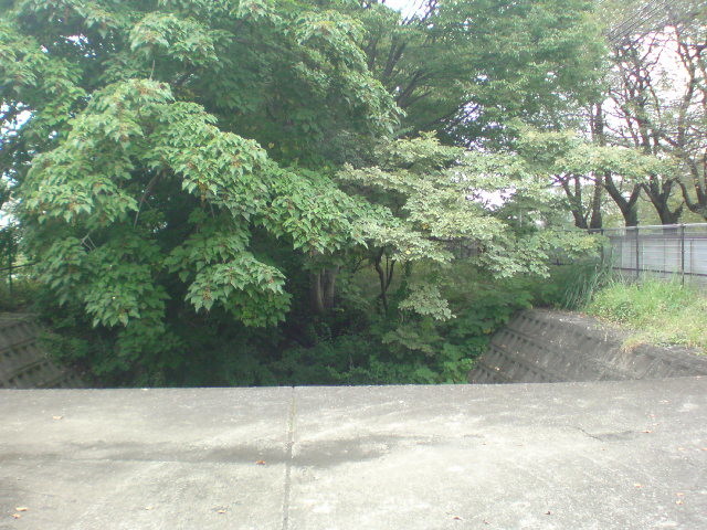 イメージ 12
