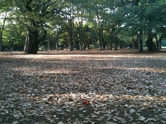 イメージ 6