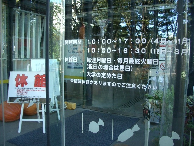 イメージ 5