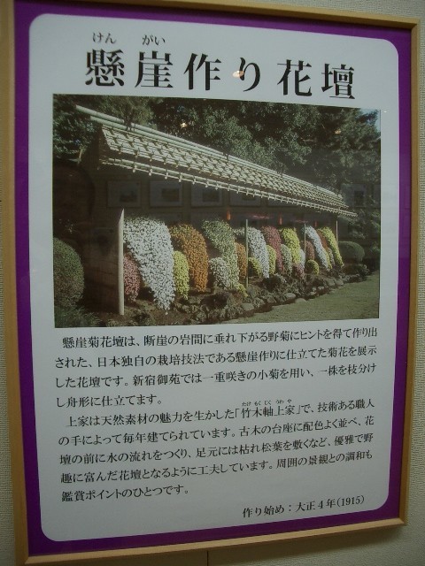 https://cdn-ak.f.st-hatena.com/images/fotolife/t/taguchifamily/20091028/20091028155125.jpg