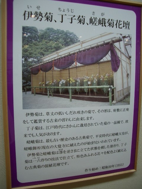 https://cdn-ak.f.st-hatena.com/images/fotolife/t/taguchifamily/20091028/20091028155133.jpg