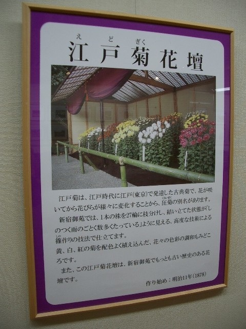 https://cdn-ak.f.st-hatena.com/images/fotolife/t/taguchifamily/20091028/20091028155149.jpg