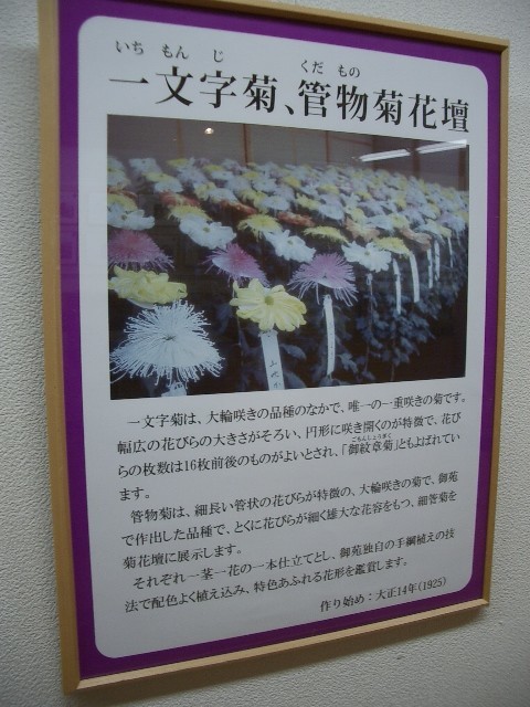 https://cdn-ak.f.st-hatena.com/images/fotolife/t/taguchifamily/20091028/20091028155158.jpg