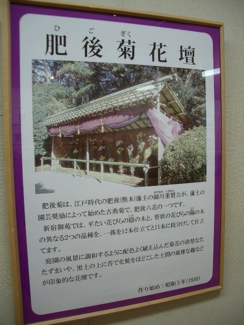 https://cdn-ak.f.st-hatena.com/images/fotolife/t/taguchifamily/20091028/20091028155206.jpg