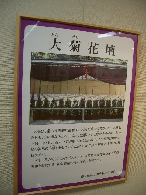 https://cdn-ak.f.st-hatena.com/images/fotolife/t/taguchifamily/20091028/20091028155223.jpg