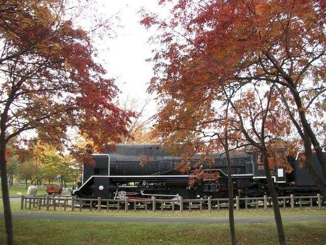 https://cdn-ak.f.st-hatena.com/images/fotolife/t/taguchifamily/20091031/20091031105453.jpg