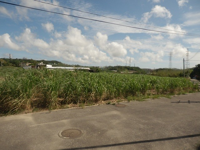 イメージ 14