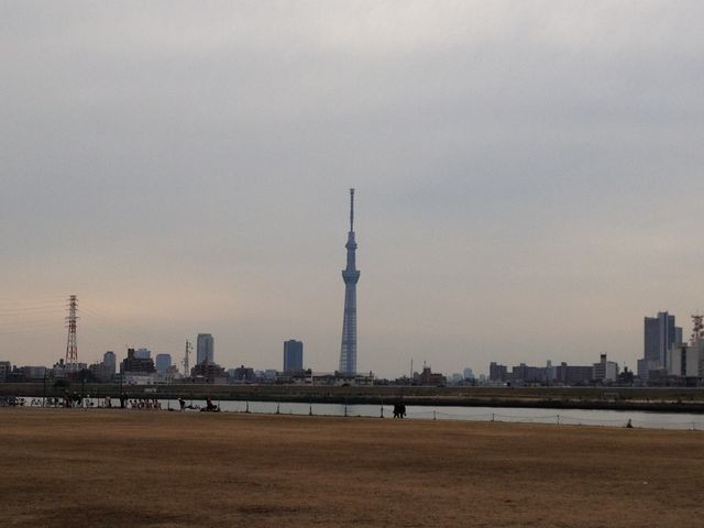 イメージ 6
