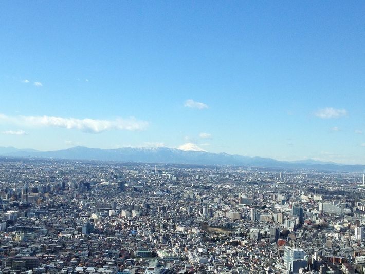 北展望フロアより(クリックで拡大)