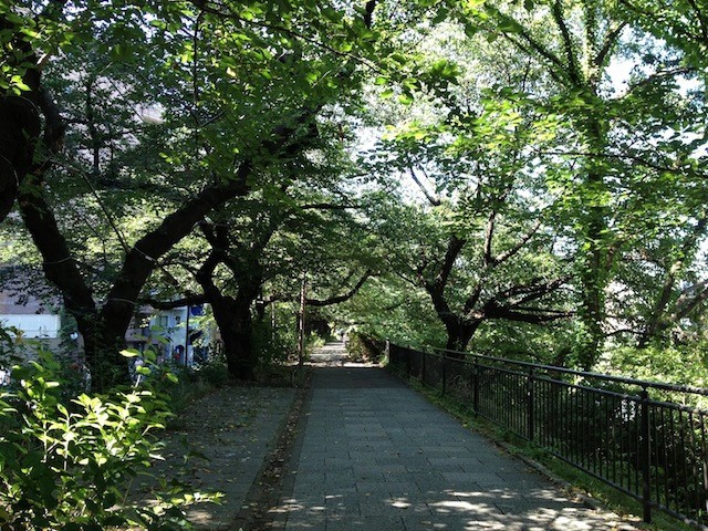 イメージ 3