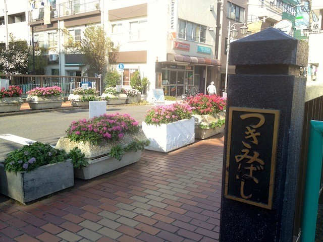イメージ 8