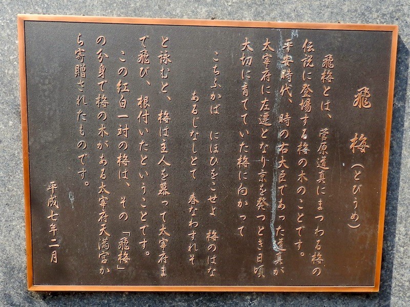 イメージ 5