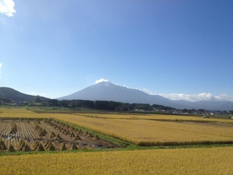 イメージ 12