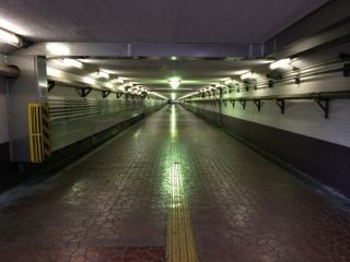 イメージ 7