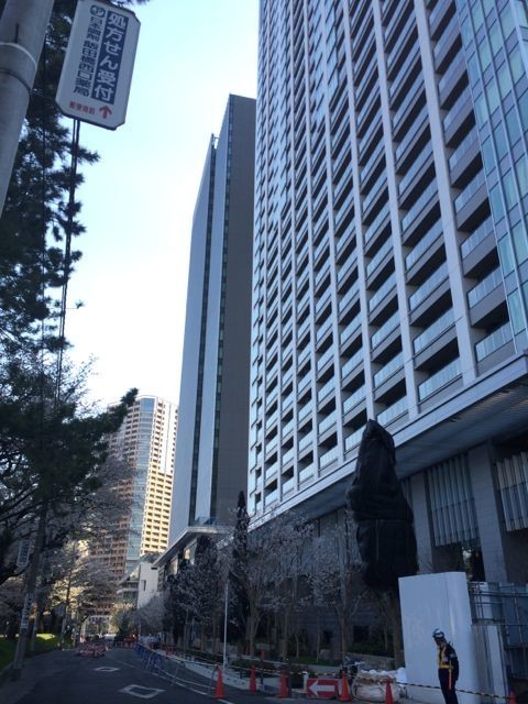 イメージ 5