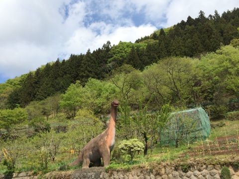 イメージ 4