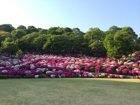 イメージ 14